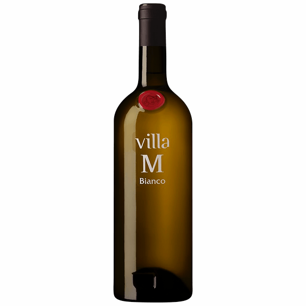 빌라엠 VILLA M 강남와인