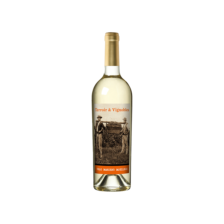 테루아 앤 비뇨블 그로 망상 모엘르 Terroir & Vignobles Gros Mangseng Moelleux 강남와인